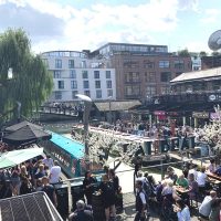 AXO Camden — image 18 of 19