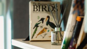 The Stay Club Kentish Town - Studio